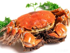 Enjoy Lobster (Shiqiao Branch)