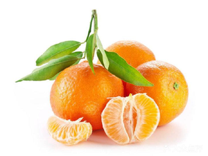 Shantou Food Store (Diyuan Road Branch)