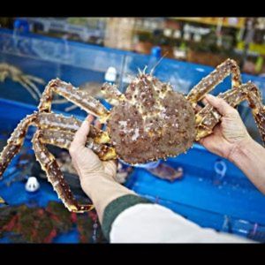 Yuesheng Seafood Budget Store (Lousi Shijie Branch)