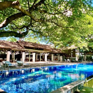 Xizhou Bar (Shipyard Store)