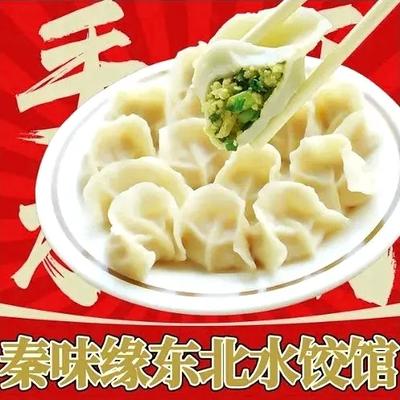 Qinwei Yuan Northeast Dumplings