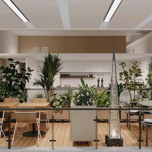 Lina's Delightful Dining