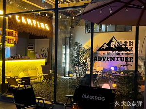 Wild CAMP IN THE CITY