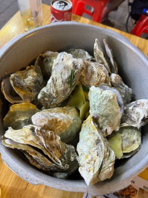 通四海高压锅生蚝