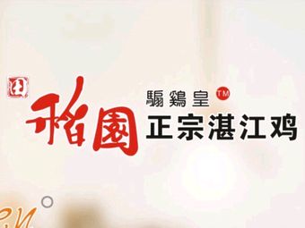Dao Yuan Authentic Zhanjiang Chicken