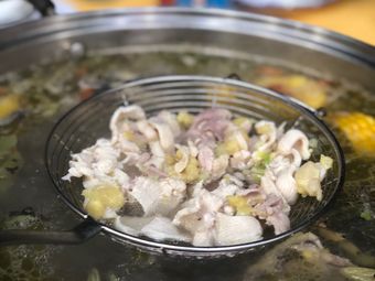 Stone Olive Chaoshan Old Mother Chicken Hot Pot