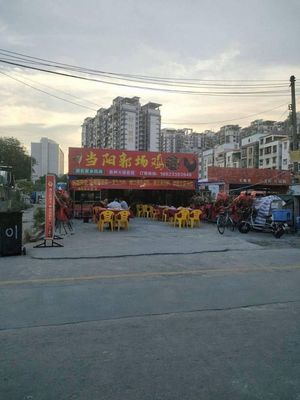 Dangyang Guo Field Chicken