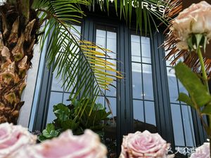 Random Forest Coffee (Random Deep Forest Coffee · Panyu Store)