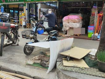 Lanzhou Hand-Rolled Noodles