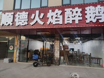 Shunde Flame Goose