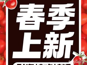 Tao Wa (Guangzhou Dayuanli Branch)