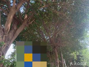 Bamboo Grove Farmhouse