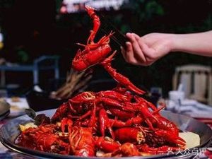 No.1 Foolish Cook (Shiji Branch)