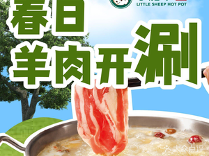 Xiao Fei Yang · Beef and Lamb Hot Pot (Yayun Cheng Plaza Branch)