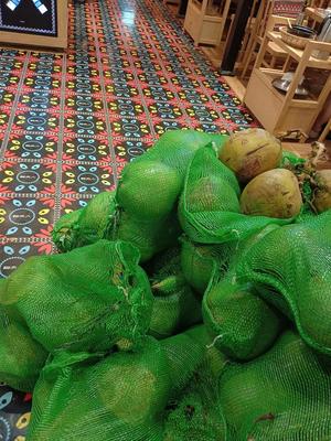 Madam Coconut (Jinshazhou Branch)