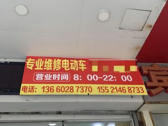 Professional Electric Bike Repair