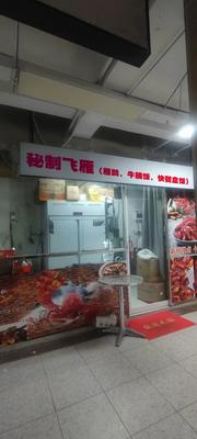 Secret Recipe Flying Goose