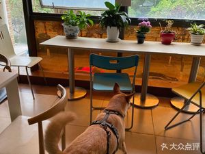 Xue Ma's Kitchen (Aoyuan · Small Luxury Paradise Branch)