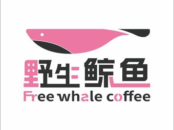 Wild Whale Coffee