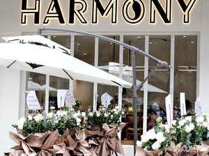 HARMONY Coffee & Dessert (Jianqiao Jun Store)