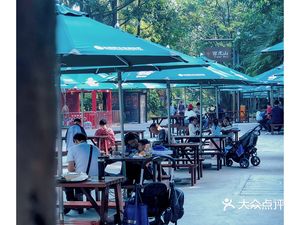 Swan Dining (Guangzhou Chimelong Wildlife World Store)