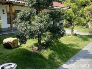 Nongmenzhai Claypot Rice Restaurant (Jinshan Avenue Store)