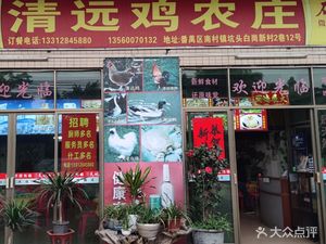 Qingyuan Chicken Farm