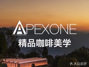 APEXONE · Mountain Top No.1 OCT Gallery