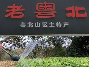 Old Guangdong North (Sub and Xiangshan 8th Branch)