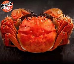 Crab Heaven · Yangcheng Lake Crab (Nanshan Store)