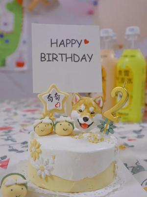 Shenzhen University Gui Miao