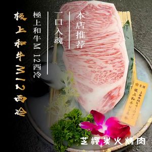 Shizuka Charcoal BBQ