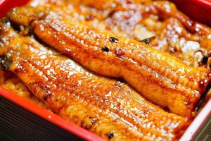 Hong Ye Yuan Japanese Cuisine · Live Eel · Live Fish