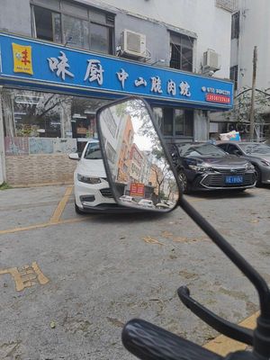 Wei Chu Zhongshan脆肉鲩