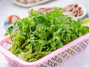Sichuan Stone Pot Hot Pot (Shengping South Road Store)