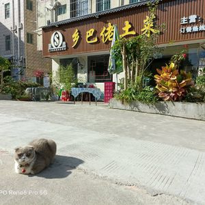 Xiangba Lao Rural Cuisine (Longping Road Branch)