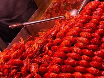 Boss Not Here · Crawfish