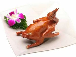 Nanyue Guangming Pigeon (Dalong Store)