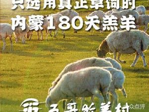 五哥牧羊村.烧烤.烤鱼 鸡煲(龙岗大运店)