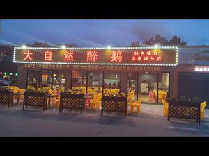 Nature's Drunken Goose (Huannan Cheng Branch)