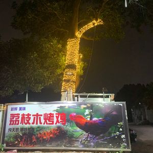 Wan Zi Lychee Wood Roast Chicken