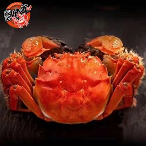 Crab Heaven · Yangcheng Lake Crab (Jingtian Branch)