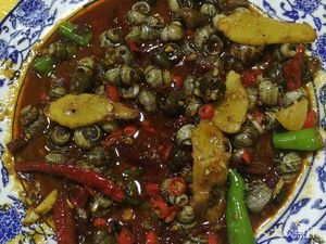 Chongqing Grilled Fish · Campfire Chicken