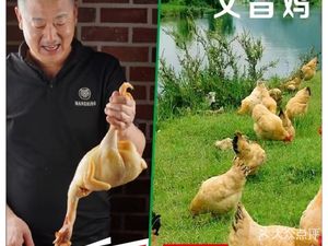 A San Chicken Hot Pot (Henggang Branch)