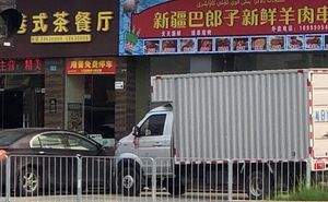 Xinjiang Balangzi Fresh Lamb Skewers (Jinhua Chen Bai Store)