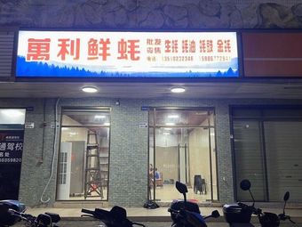 Wanli Fresh Oysters