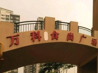 Vanke Shishang Plaza (Vanke Feiyi Junyuan Store)