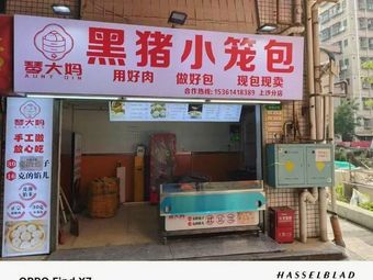 Aunt Qin's Black Pork Steamed Buns (Shangsha Store)