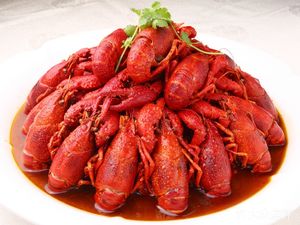 Shark King Crab Queen (Shiyan Branch)