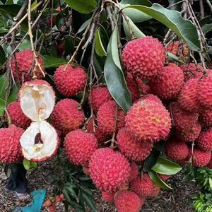 Senmulin Private Kitchen Team Building Farm